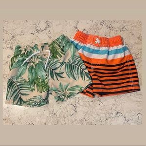 Palm Leaf Boys Swimsuit and Stripe swimsuit size: 12-18 mo and size: 12 mo